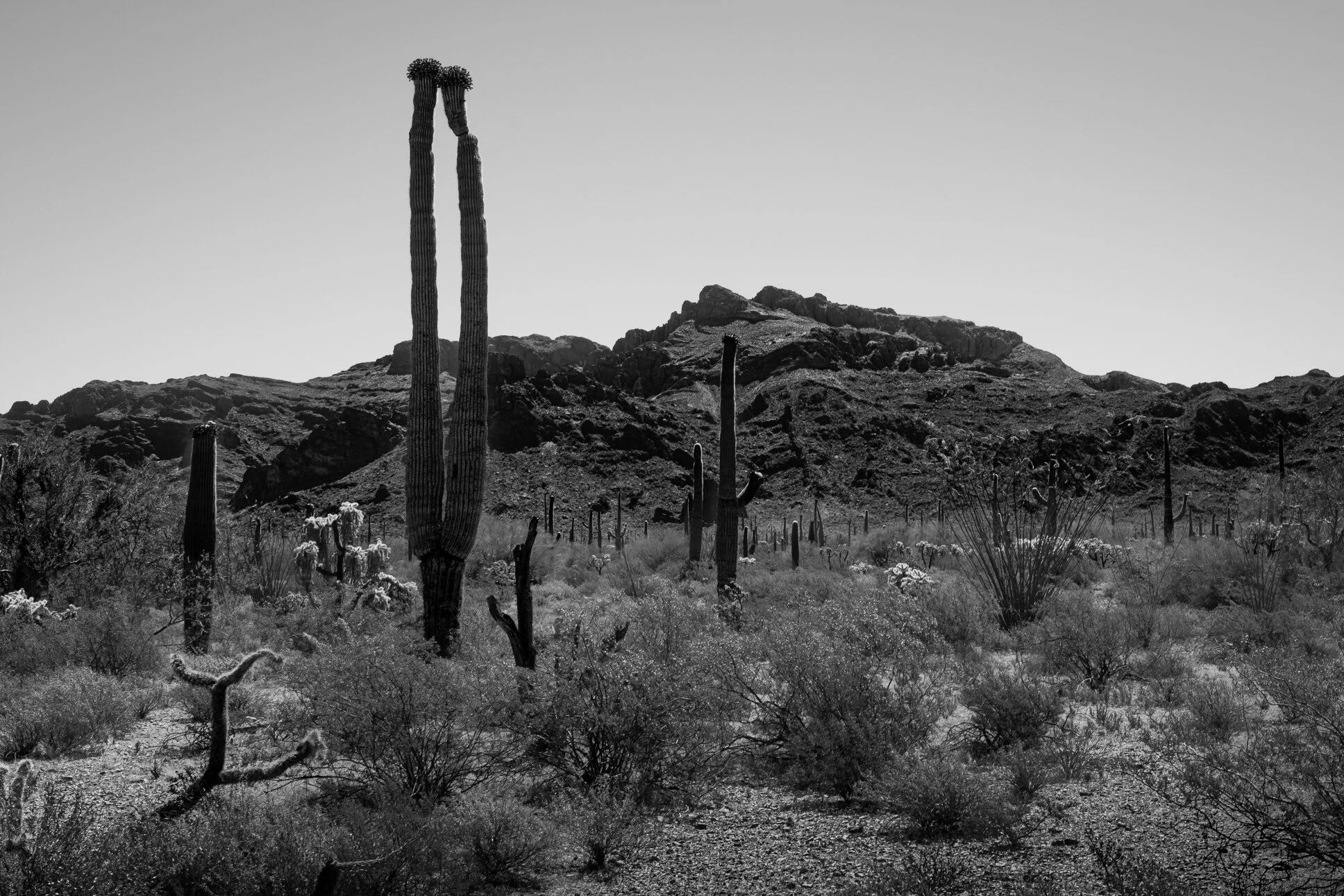 110 Degrees, Arizona