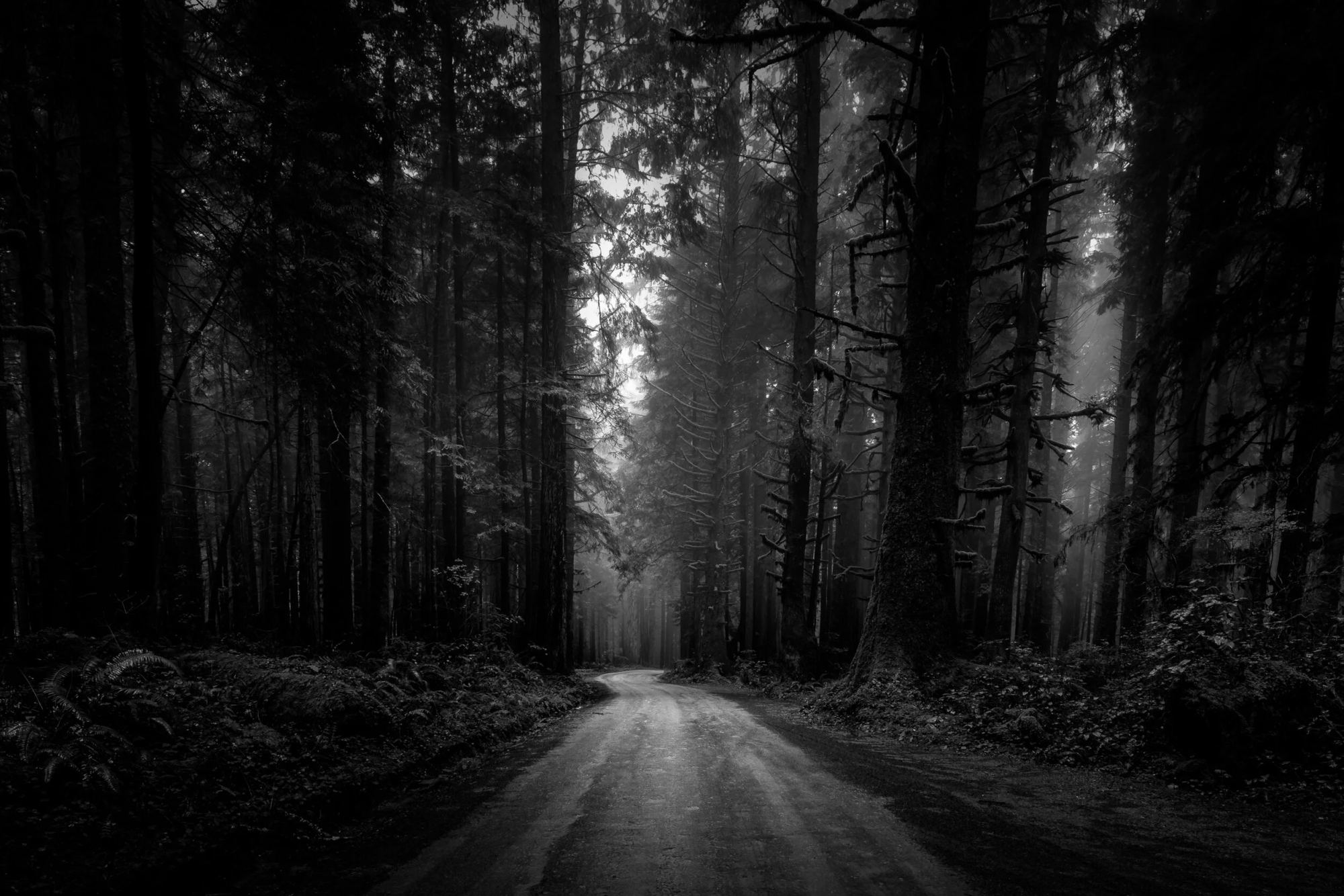 Bald Hills Road, California