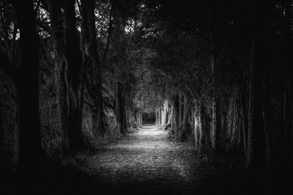 Descension, Tallahassee