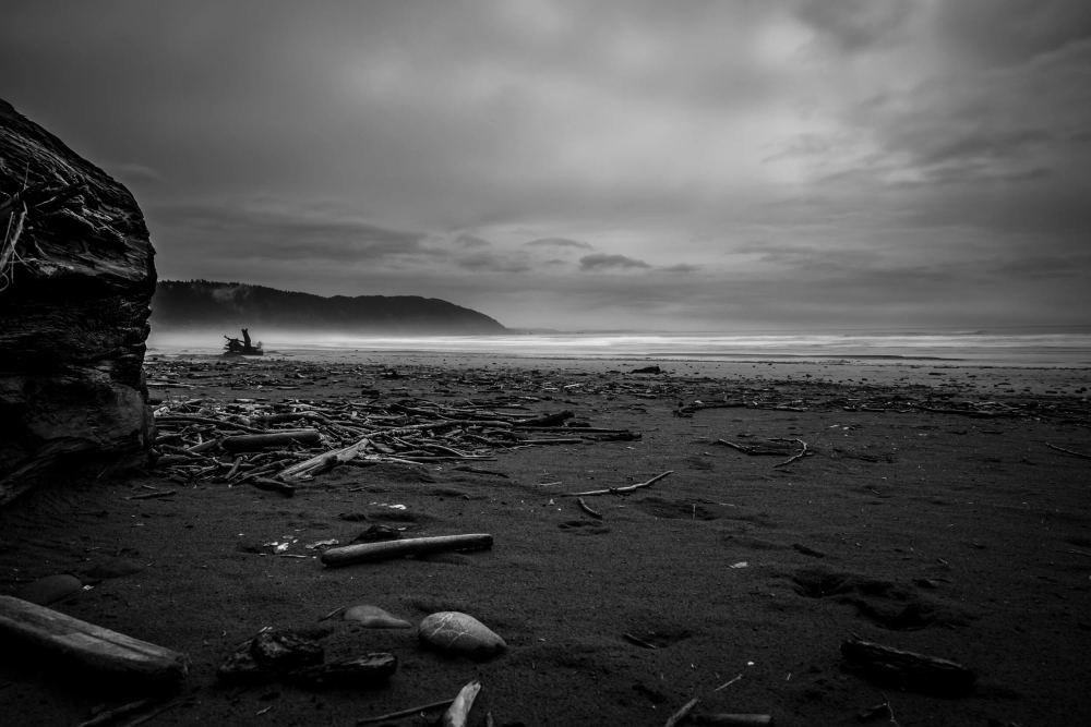 Driftwood, Crescent City