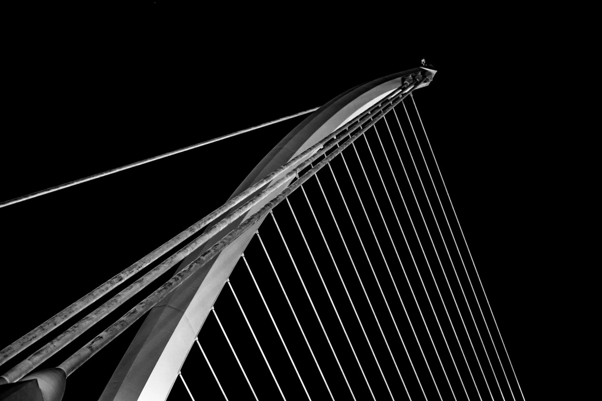 Harp, Dublin