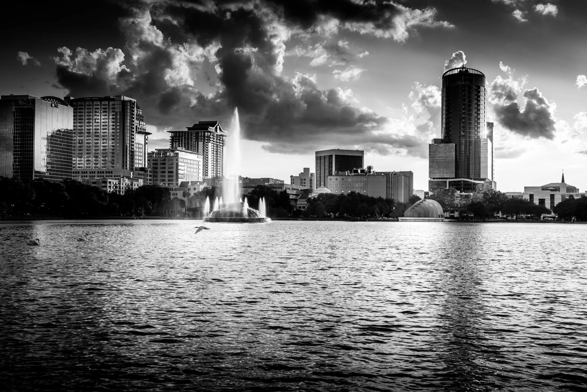 In Flight, Orlando