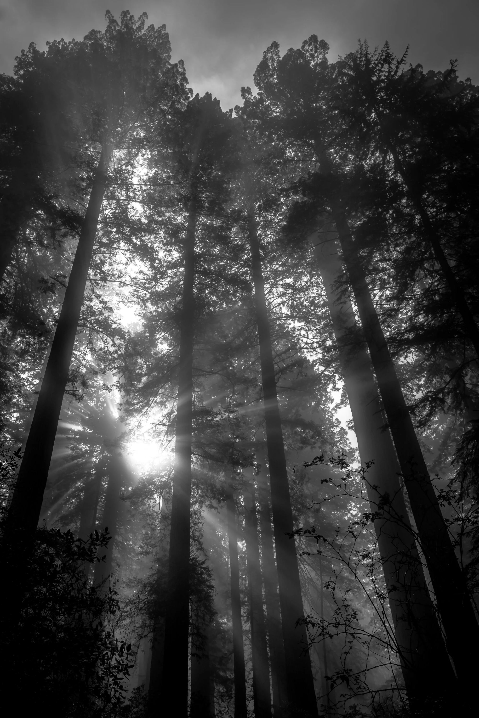 Light Rays, California