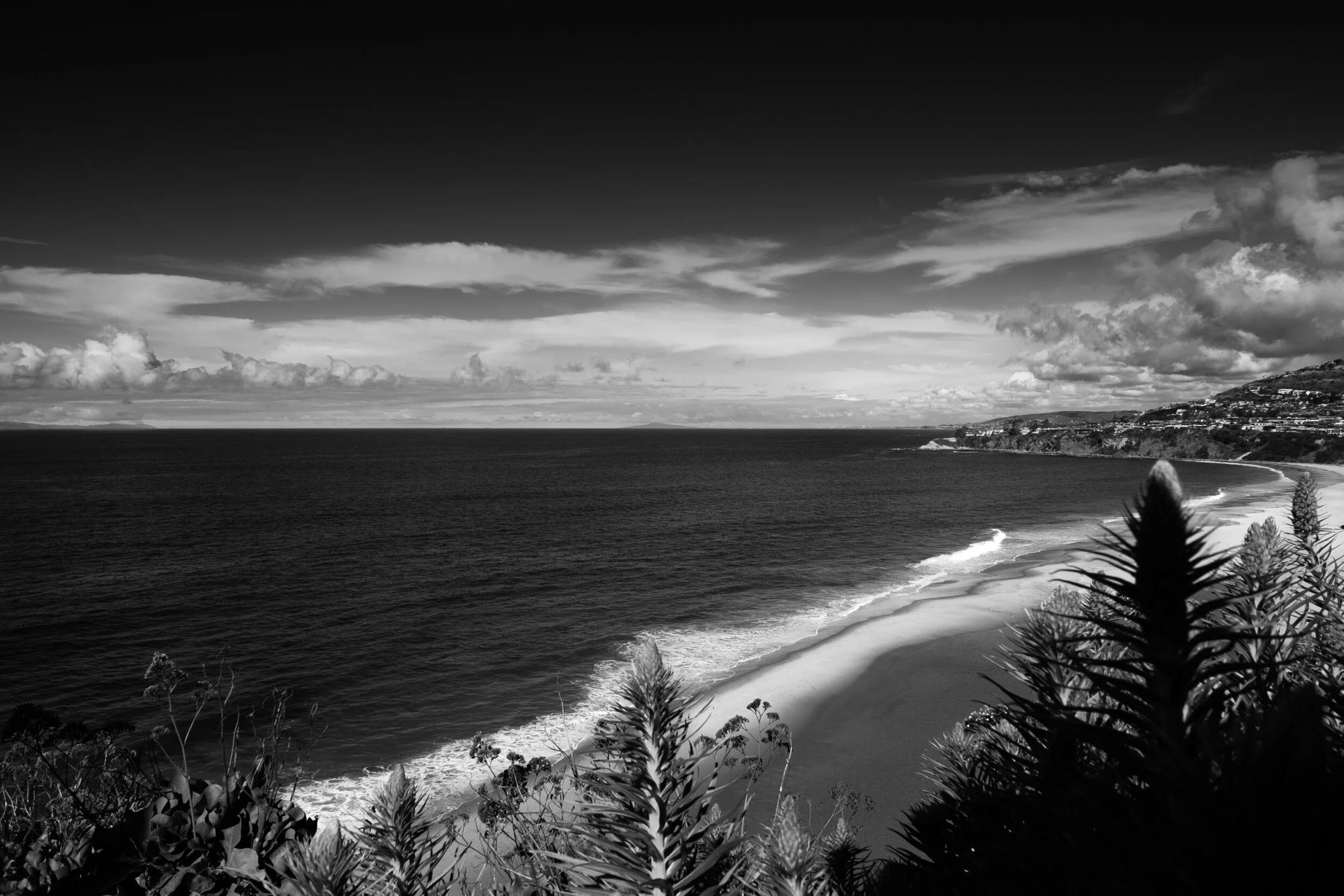 Temptest, Dana Point