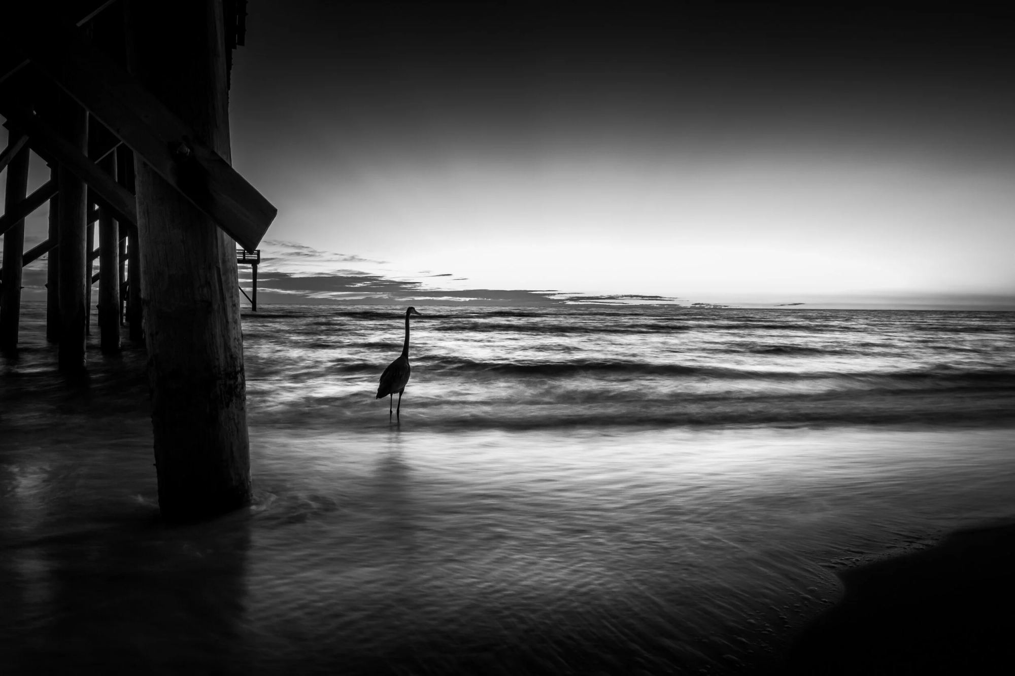 The Crane Watches, St. Andrews