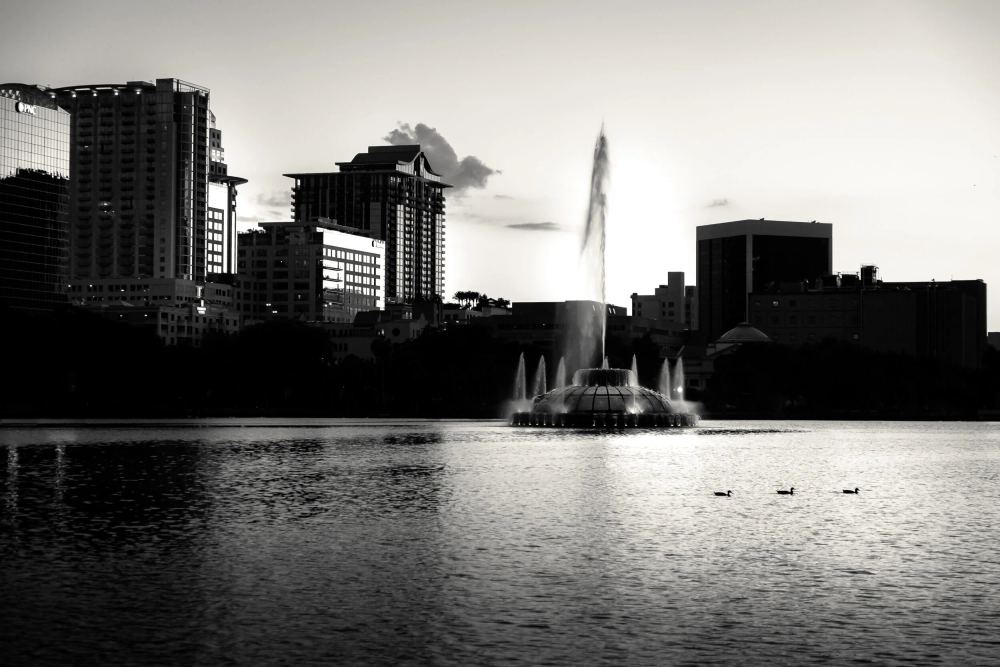 Three Little Birds, Orlando