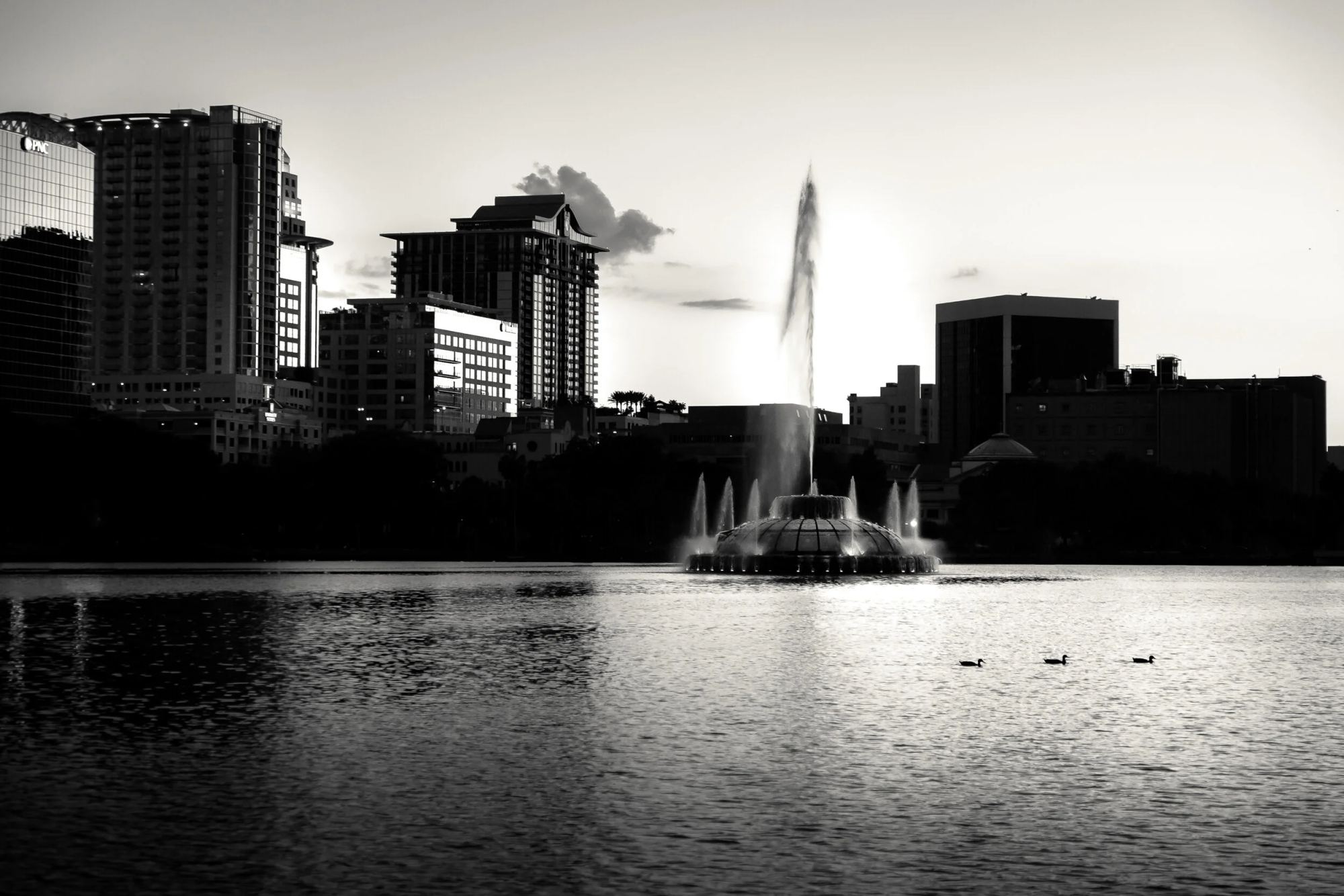 Three Little Birds, Orlando