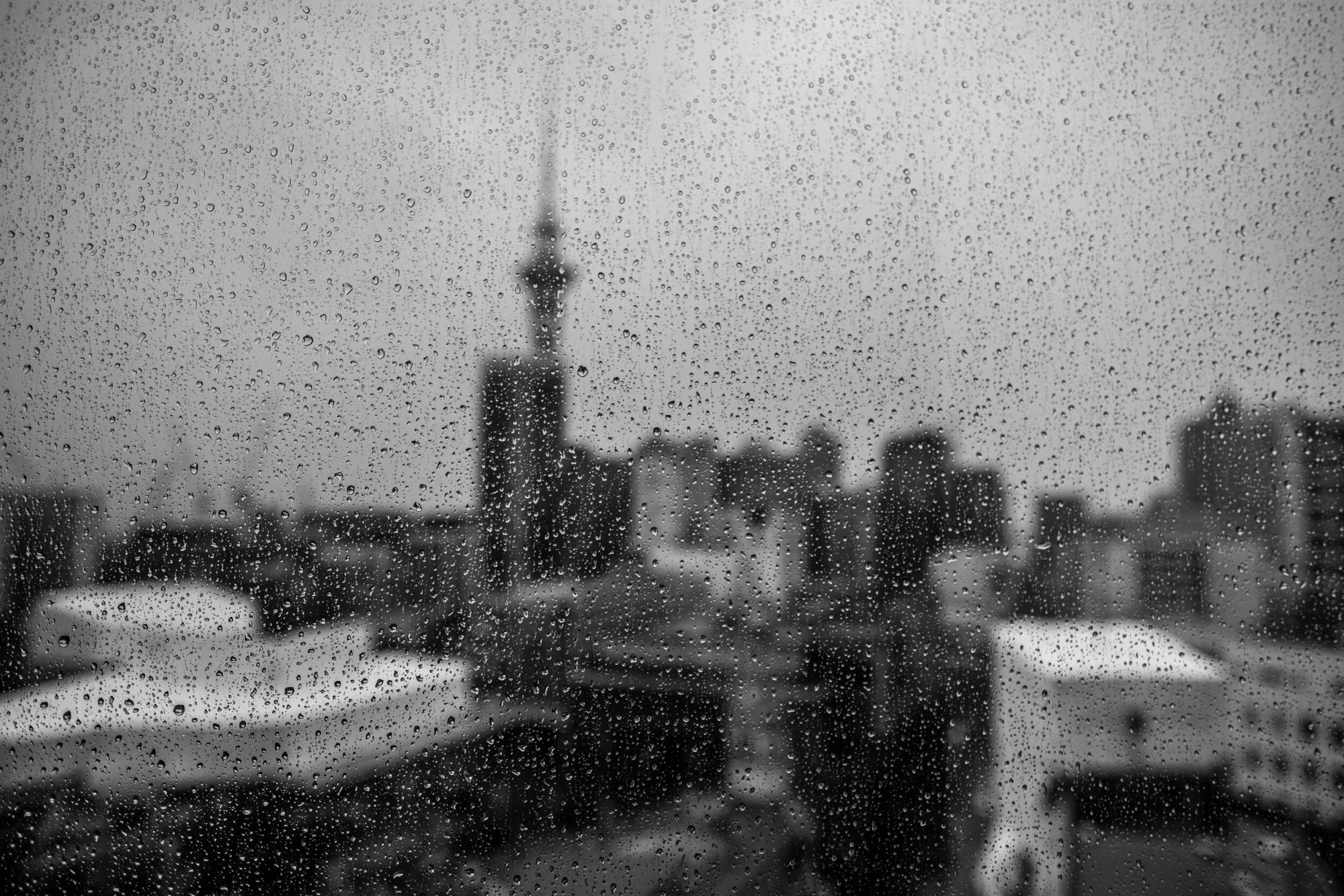 Through the Window, Auckland